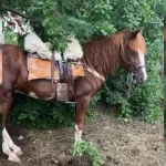 63f3eb51eb58d__993x610